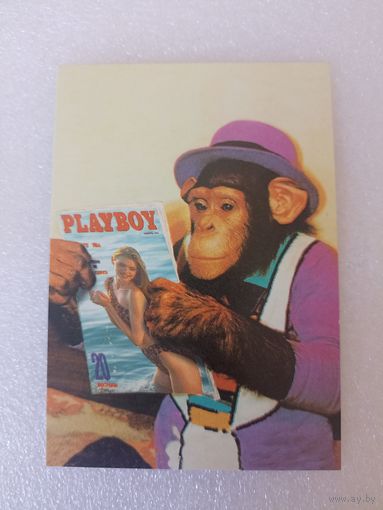 PLAYBOY, Животные, Обезьяны, 2000 год. Карманные календарики, Календарик, Календарь