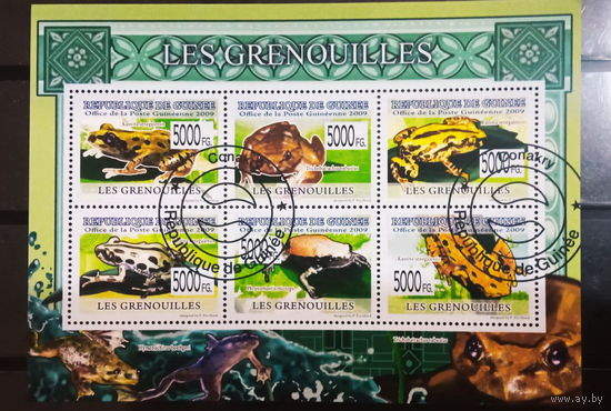 ЛИСТ ФАУНА ящеры рептилии СТО