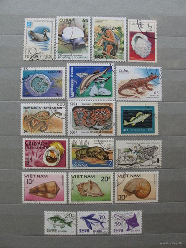 Продажа коллекции с 1 рубля! Фауна на почтовых марках мира.