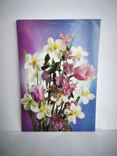 Открытка, 1990г, чистая. Цветы нарциссы, тюльпаны. 24