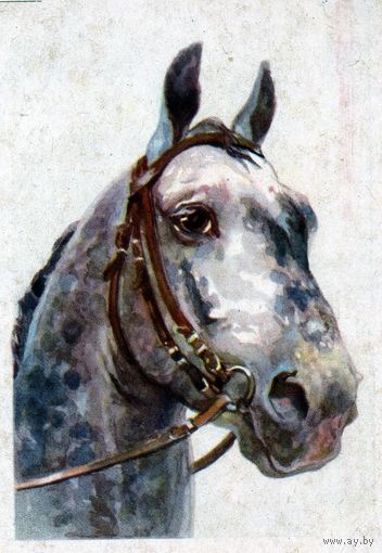 Открытка, почтовая карточка, 1951,   художник ФРЕНЦ "Ленизо"   1951--52г