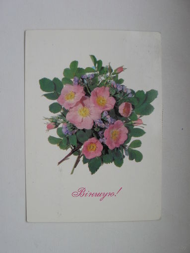 Дергилева И. 1991г.