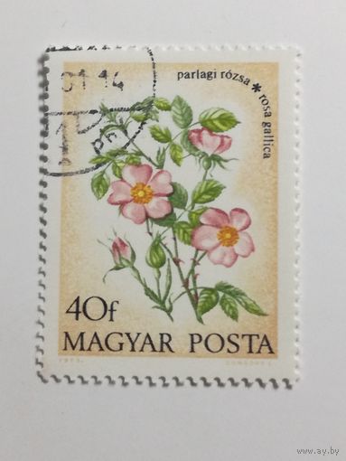 Венгрия 1973. Полевые цветы