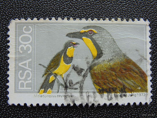 ЮАР 1973 г. Птицы.
