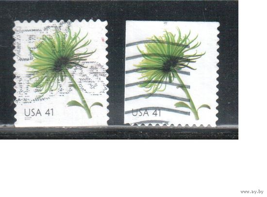 США-2007 (Мих.4287 BD+BE) , гаш., Стандарт, цветы, зубцовки