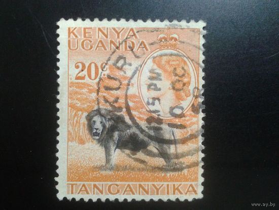 Кения Уганда Танганьика, 1954. Королева Елизавета II, лев