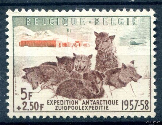 Бельгия - 1957г. - собаки, хаски, бельгийская южнополярная экспедиция, 1072 - 1 марка - полная серия, MLH [Mi 1072]. #2-Be-64-B-1