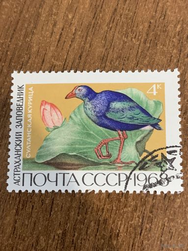 СССР 1968. Султанская курица. Марка из серии