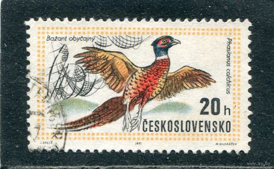 Чехословакия. Фауна, Охотничья дичь