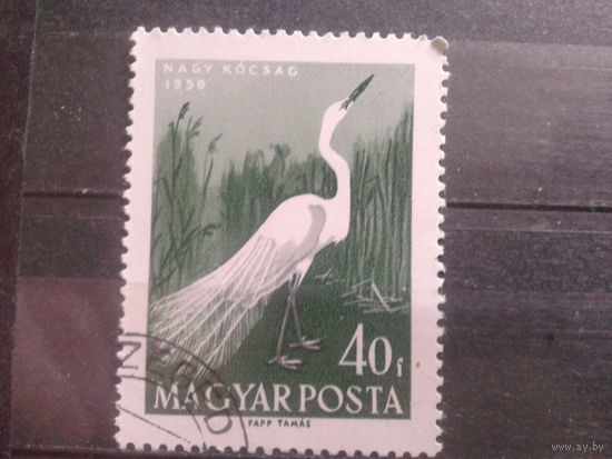 Венгрия 1959 цапля
