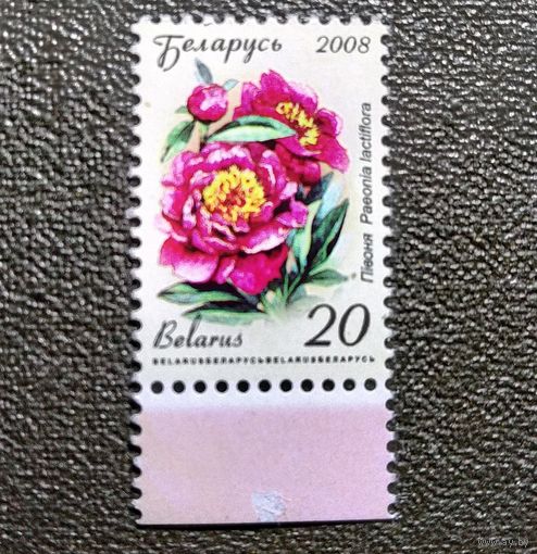 Марка Беларусь 2008 год Цветы
