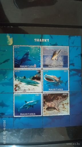 Блок рыбы морские обитатели MNH