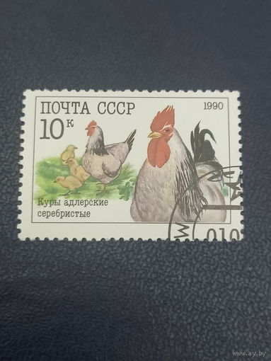 СССР 1990г. Куры адлерские серебристые.
