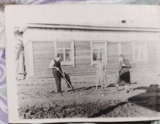 Старое фото в коллекцию