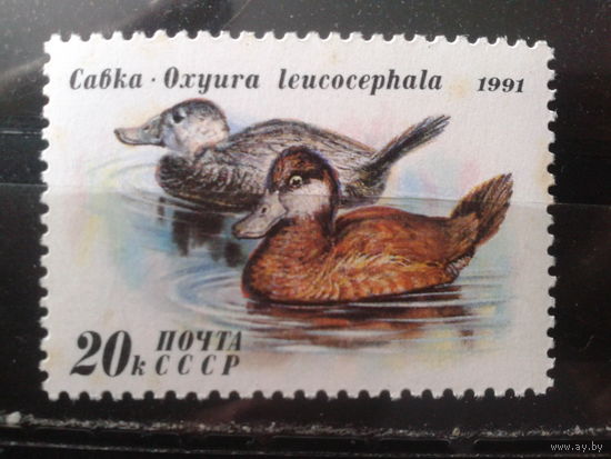 1991 Утки**, концевая