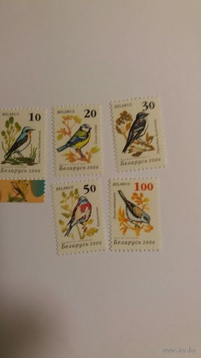 РБ  2006 5м  птицы