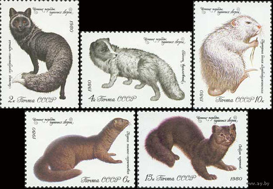 Пушные звери СССР 1980 год (5086-5090) серия из 5 марок