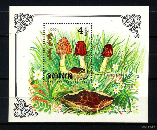 1990 Монголия. Грибы