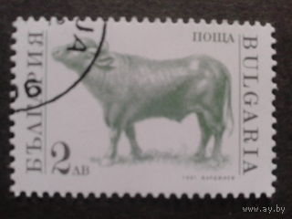 Болгария 1991 бык