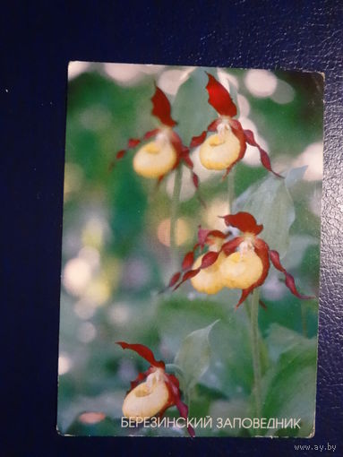 Календарик 2003 г.  Березинский заповедник.