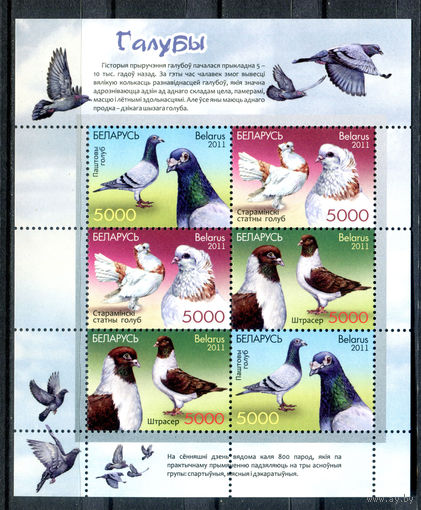 Беларусь - 2011г. - Голуби - полная серия, MNH [Mi bl. 89] - 1 блок