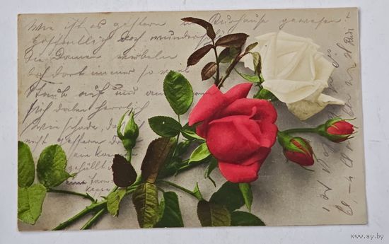 1908 год Либава Открытка