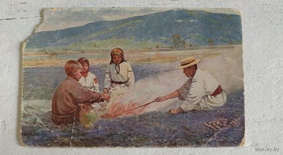 Деревенские дети. Польша. 1920-е