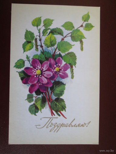 Почтовая карточка.1978г.А.Куртенко.