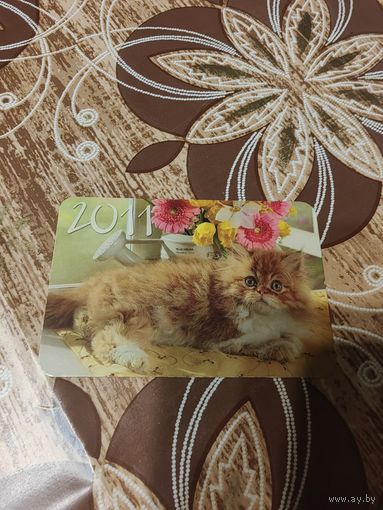 Календарик,коты,украина,2011