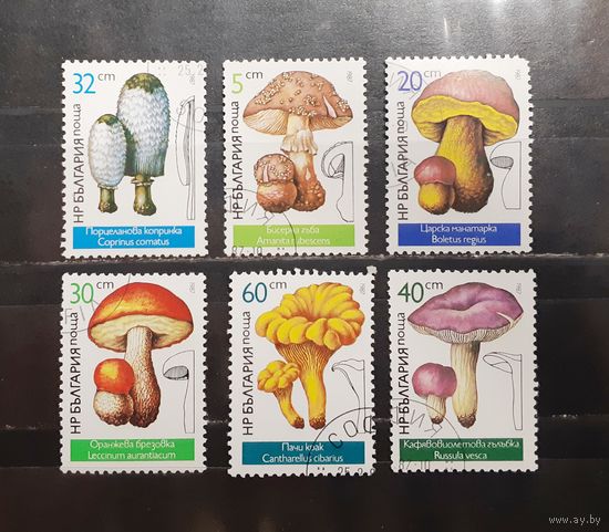 Болгария. 1987 год. Флора. Грибы (962)