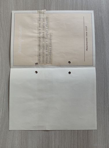 Поздравительная телеграмма Начальнику Белорусской ж.д. бланк 1962 года.