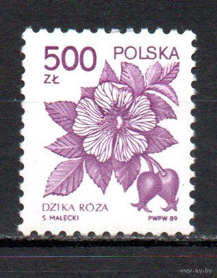 Стандартный выпуск Польша 1989 год 1 марка
