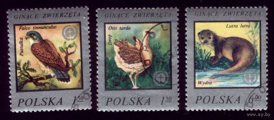 3 марки 1977 год Польша 2505-2507