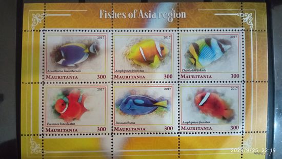 Блок  РЫБЫ МОРСКИЕ ОБИТАТЕЛИ ФАУНА   MNH