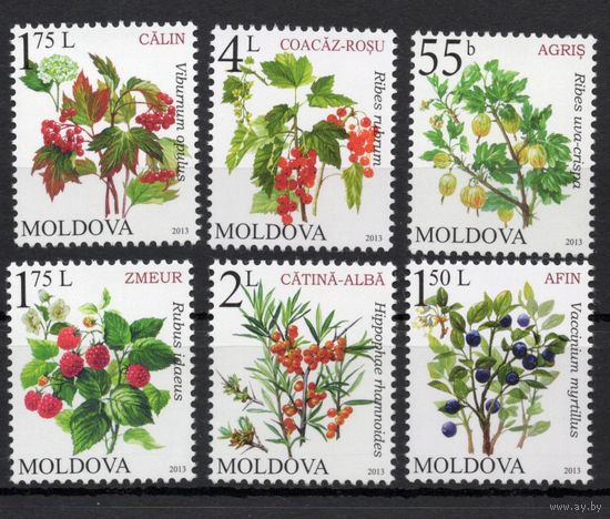 Молдова 2013.Стандарт. Ягоды 6 марок (476)