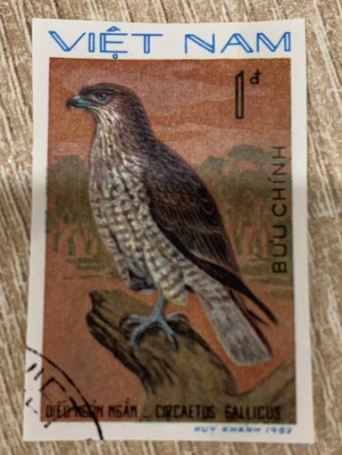 Вьетнам 1982. Хищные птицы. Circateus Gallicus. Марка из серии