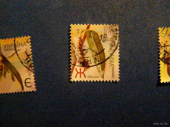 VIII стандарт. Ж. Листья. Ива белая Украина 2012