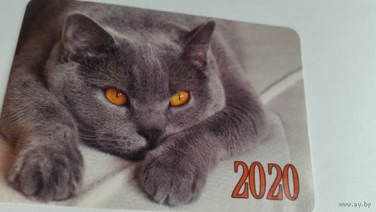 Календарик.Британец.2020