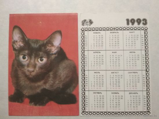 Карманный календарик. Котик.1993 год