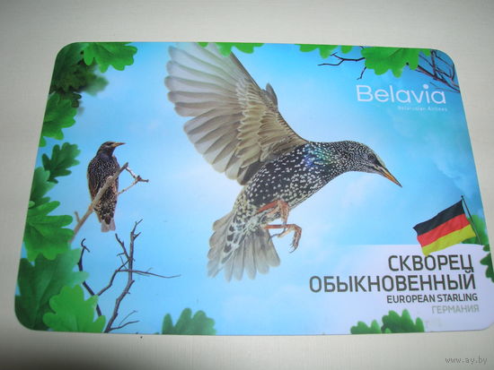 Календарик 2019 год Белавиа Птица Скворец Германия
