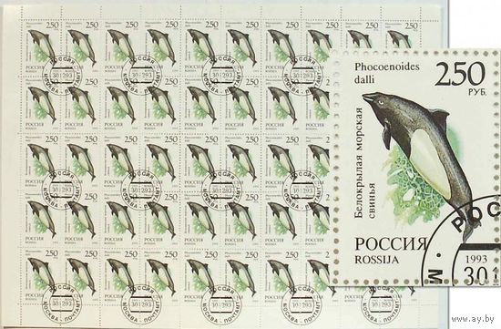 3. Марки России сцепка 50 штук "Белокрылая морская свинья" 1993 год