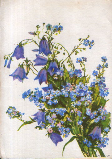 Подписанная открытка 1963г. "Колокольчики и незабудки" худ. И. Масленникова
