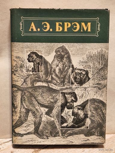 Брэм А.Э. - Жизнь животных (Том 1)