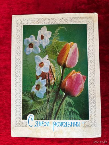 С днём рождения! Подписана. 1978 год. Савин.