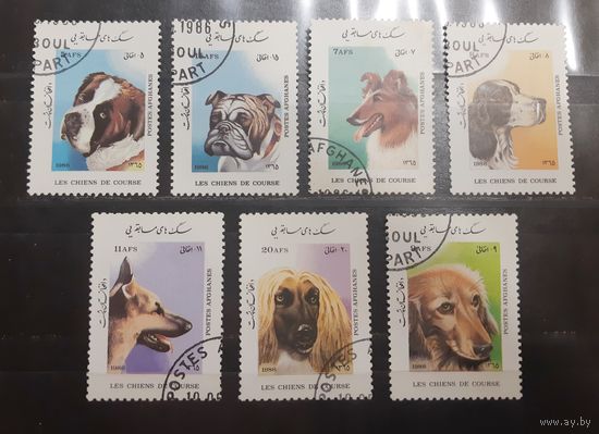 Афганистан. 1986 год. Фауна. Собаки (781)