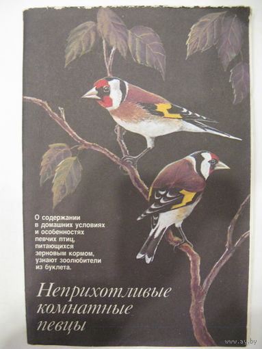 Неприхотливые комнатные певцы. Буклет.