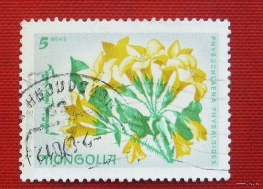 Монголия. Цветы. ( 1 марка ). 8-16.