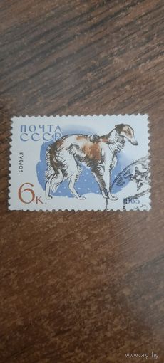 СССР 1965. Собаки. Борзая. Марка из серии
