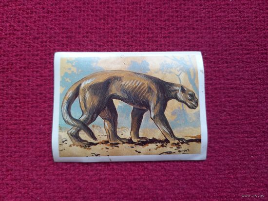 Наклейка Динозавры 128 / Dinosaurien 128