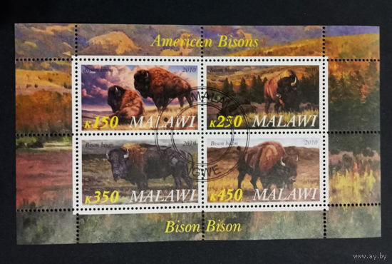 ЛИСТ ФАУНА животные  СТО